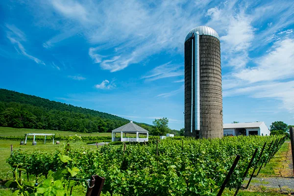 Virginia Wine Country Half Marathon 2026 photo 1