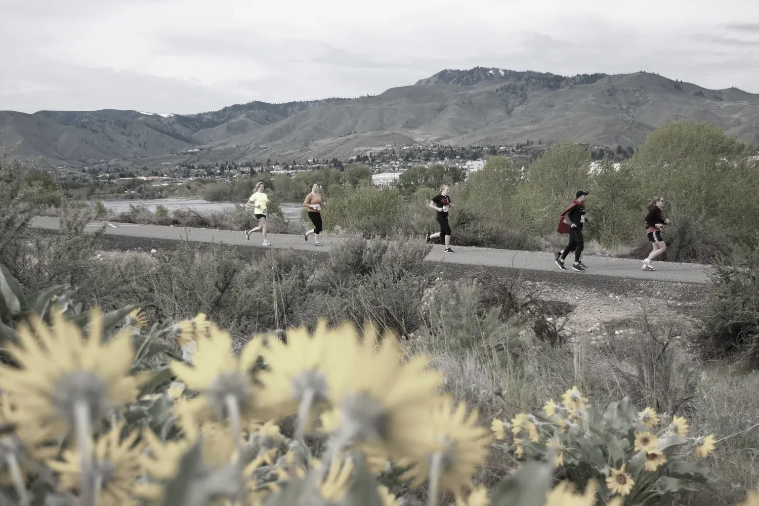 Runners on a paved path with mountains and a town in the background, with yellow flowers in the foreground.