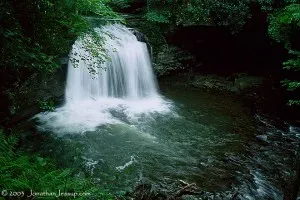 Waterfall in a lush green forest setting.