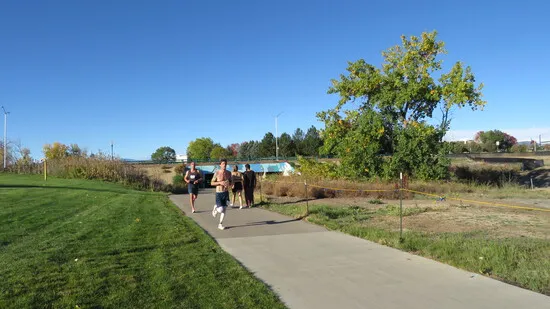 Runners on a paved path with trees and a clear blue sky.