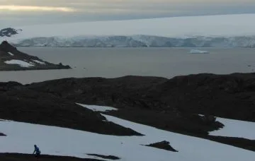 White Continent 50k, Marathon & Half-Marathon photo 4