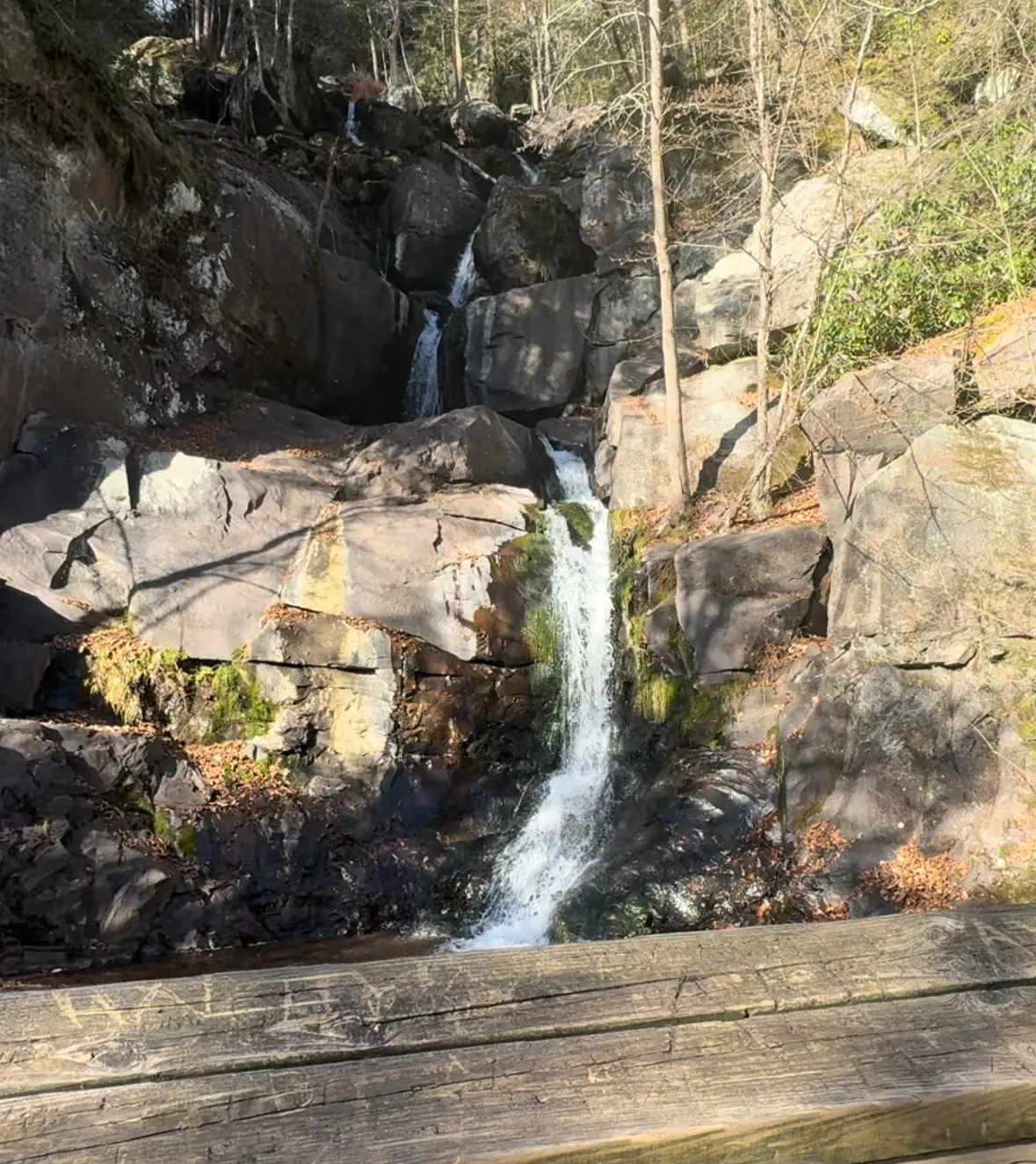 A scenic waterfall cascading down rocky cliffs in a forest setting, with a wooden railing in the foreground.
