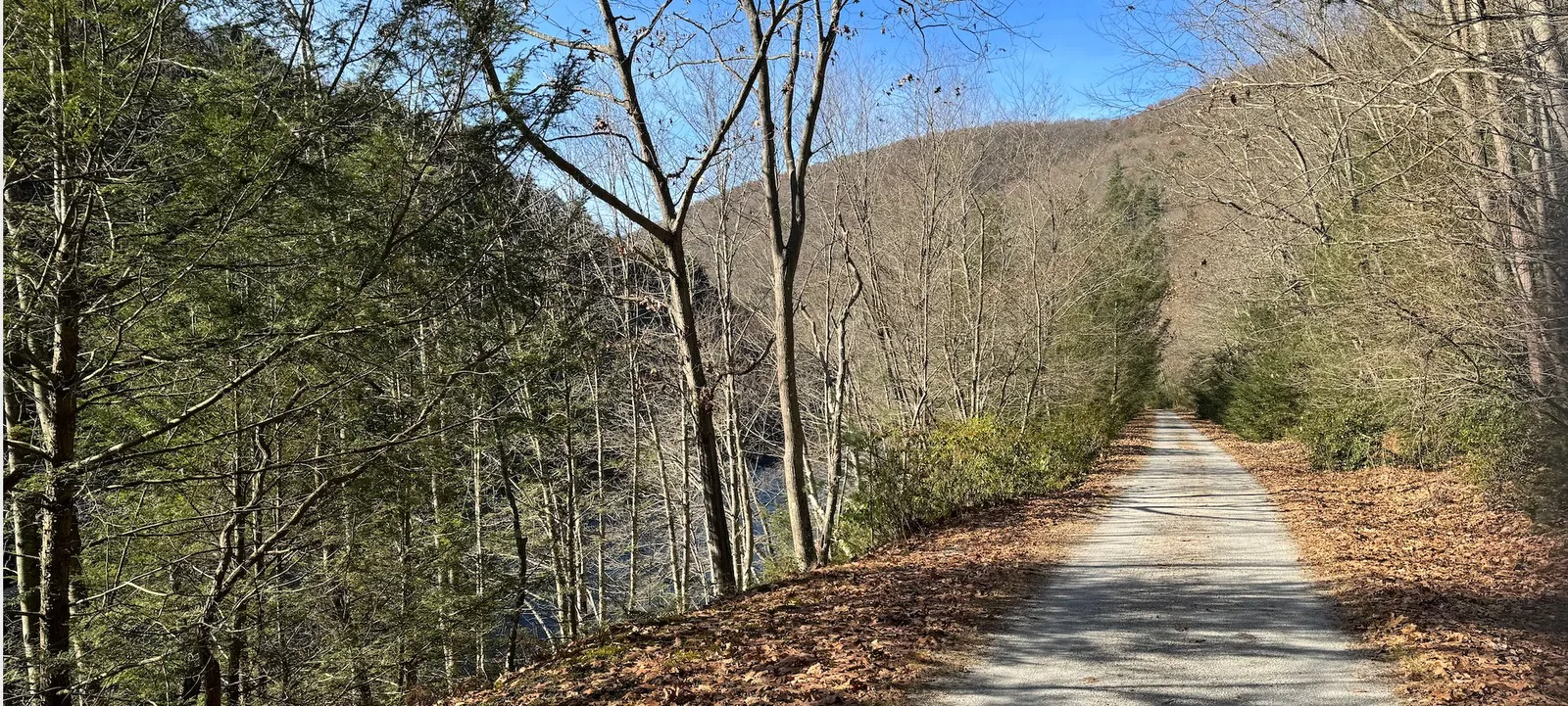 A paved road winds through a forest with a river or lake visible to the left, under a clear blue sky.