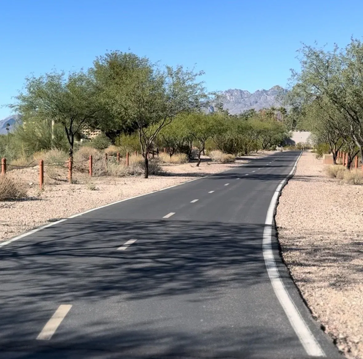 A paved road with white lane markings curves through a desert landscape with trees and mountains in the distance.