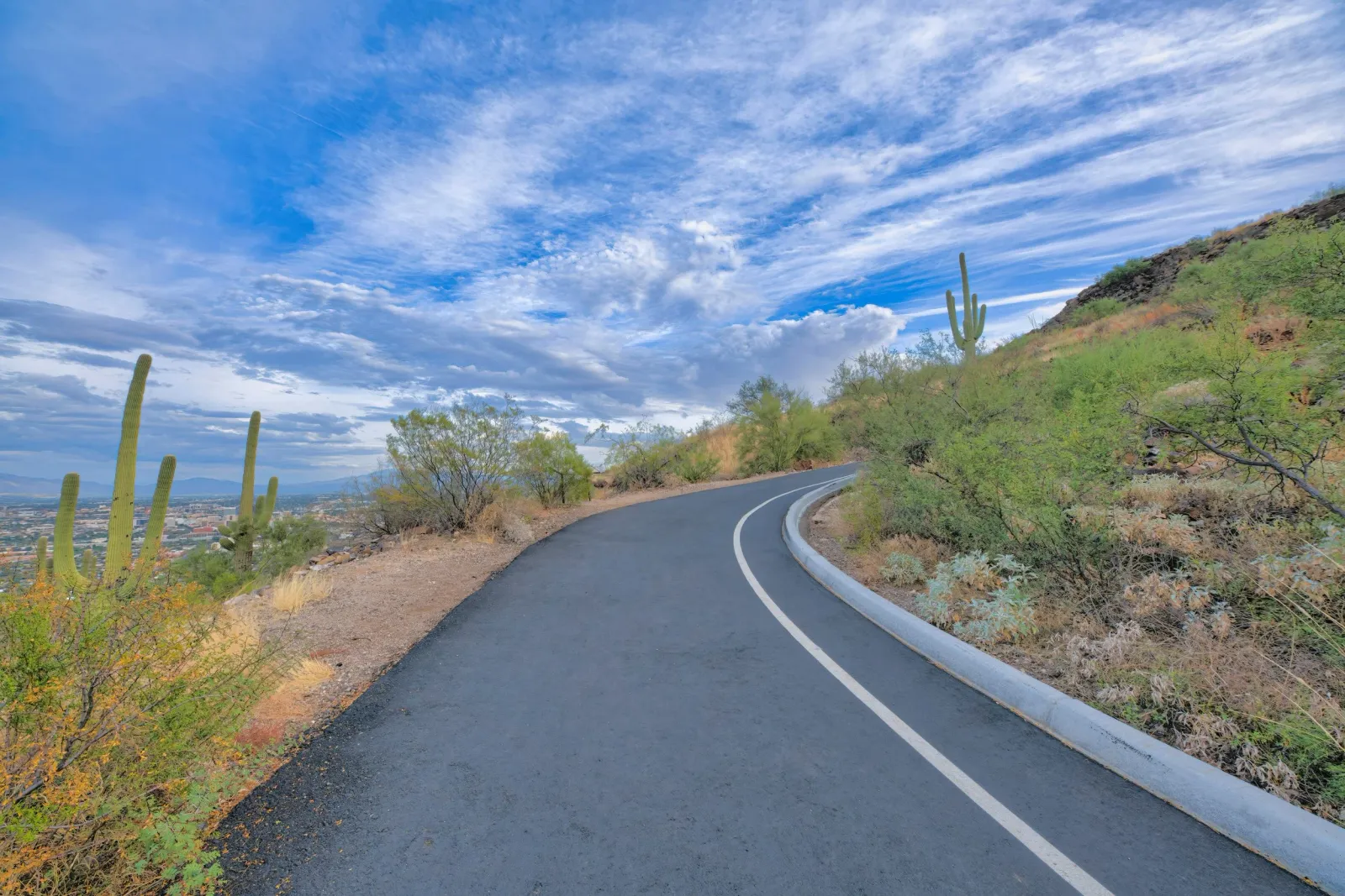A paved road curves uphill through a desert landscape with saguaro cacti and a city skyline in the distance under a cloudy blue sky.