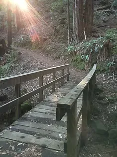 Wooden bridge over a small stream on a wooded trail with sunbeams filtering through the trees.